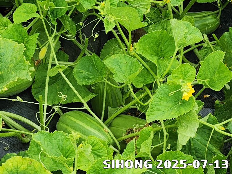 20250713_132642.jpg