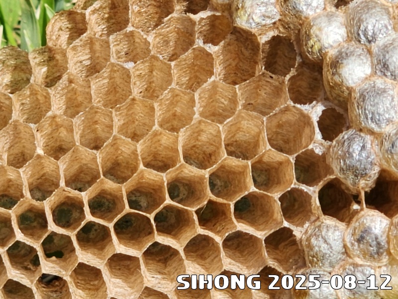 20250812_150802.jpg