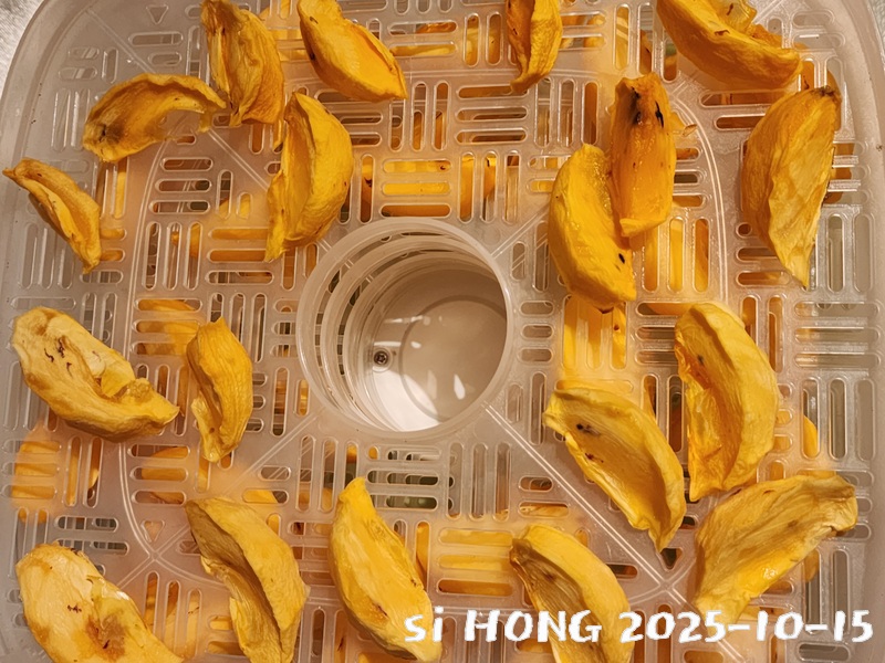 20251015_183726.jpg