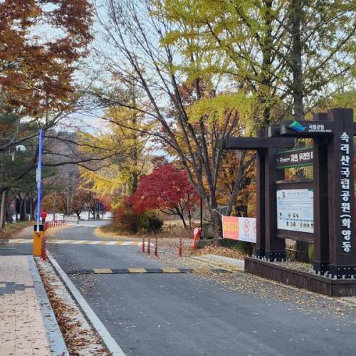 가을이 끝나가는 화양구곡