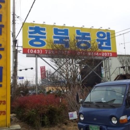 옥천 이원면 나무시장에 가다.