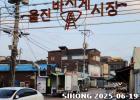 (4) 이현세만화거리 [영주/속초 2박3]