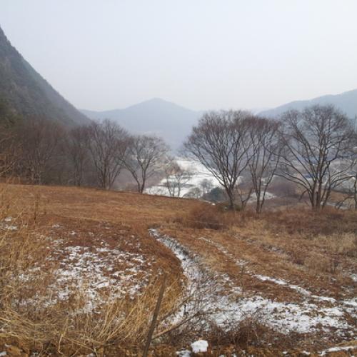 낭골절벽에 서다..