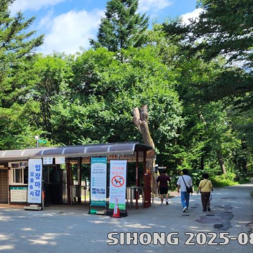 속리산 늦은 여름날의 세조길